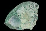 Botryoidal Malachite Formation - Mexico #126974-1